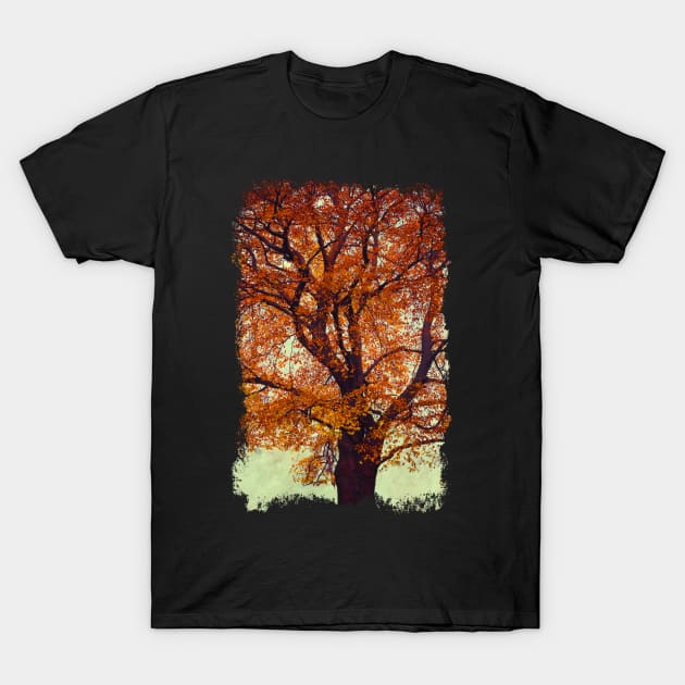 Beech Tree In Fall Colors T-Shirt by DyrkWyst